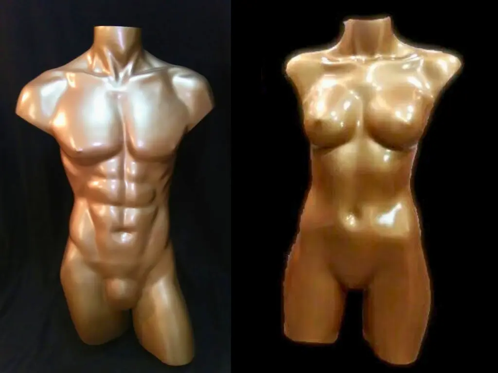 Torsos de maniqui dama
